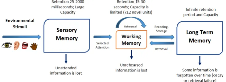 Figure 1. Atkinson-Shiffrin 3-stage model of human memory.