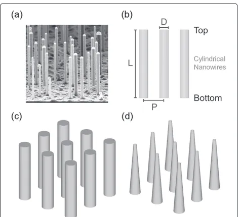 Figure 1 SEM image of a nanowire array, illustration of geometryparameters, and nanowire morphology schematics