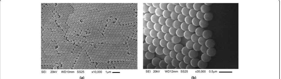 Figure 1b shows a lateral view at ×35,000 of the SiO2microparticles. It is seen that the SiO2 spheres are smooth