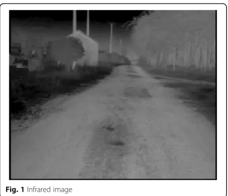 Fig. 1 Infrared image