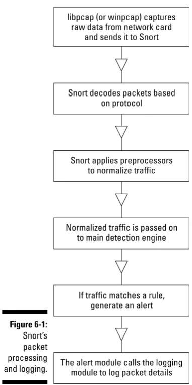 Figure 6-1:Snort’s