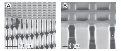 Figure 1 Capacitors’ macroporous silicon microstructure.Detailed SEM view of the macroporous silicon structure fabricatedusing electrochemical etching