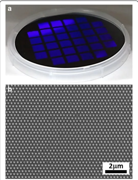 Figure 5a shows a 4″ Si wafer bearing 32 fields (each
