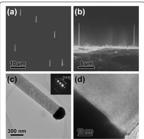 Figure 2a,f), and a first SiO2 passivation layer was coated onthe surface by chemical vapor deposition (CVD) process.