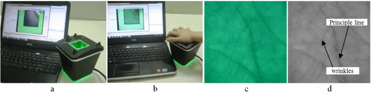 Fig. 1. (a) a palmprint acquisition device, (b) the device captures image, (c) a sample palmprint image (ROI)  and (d) the Grayscale ROI image