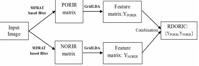 Fig. 5. An overview of our proposed method for extracting the discriminant orientation feature matrix.