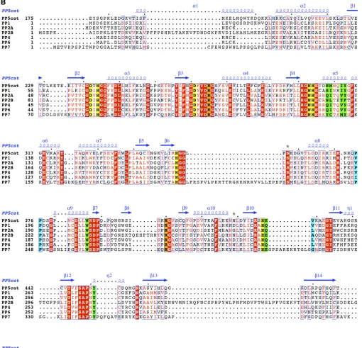 Fig. S2.(Continued)