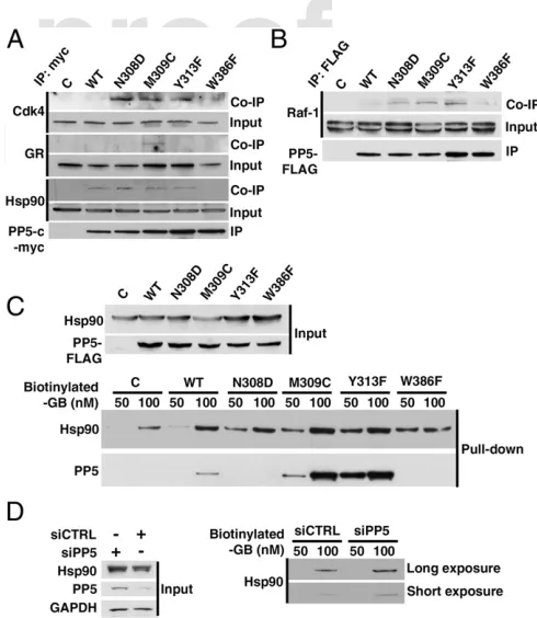 Fig. 3.Structure-based mutations reveal the functional importance offull-length WT and indicated mutants of Cdc37 and PP5 in the presence ofHsp90