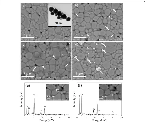Figure 2 SEM backscattered images of (a) CCTO, (b) CCTO/Au1, (c) CCTO/Au2, and (d) CCTO/Au3 samples; (e, f) EDS spectra of theCCTO/Au1 sample