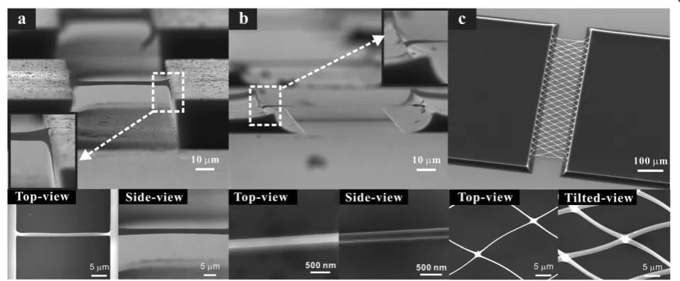 Figure 2 SEM images of suspended SU-8 microwire structure, a corresponding carbon nanowire structure, and suspended carbonnanomesh
