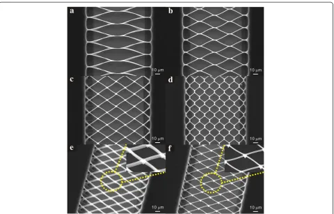 Figure 3 Scanning electron microscopy images of various types of suspended carbon nanomeshes