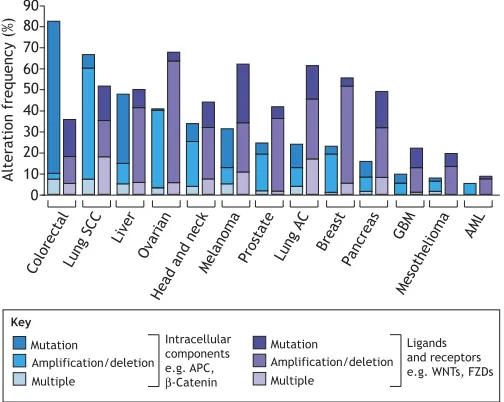 Fig. 5. Frequent alteration of Wnt pathway members in human cancers.In silico analysis of selected datasets from The Cancer Genome Atlas (TCGA)for mutations, amplifications and deletions of either intracellular (e.g