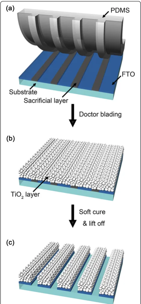 Figure 1 Schematic diagram showing each step of ourmicropatterning method of TNPs. (a) Transfer printing of the SLon a patterned FTO glass using a PDMS stamp