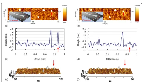 Figure 1 Schematic diagram depicting the procedures used to attach a single Au-NP to the AFM probe tip