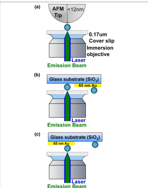 Figure 5 Experimental setup for observation of fluorescence intensity in single QDs. (a) Conjugated with the Au-NP-modified AFM probe,(b) on the glass portion of the reference sample, and (c) on the Au film portion of the reference sample