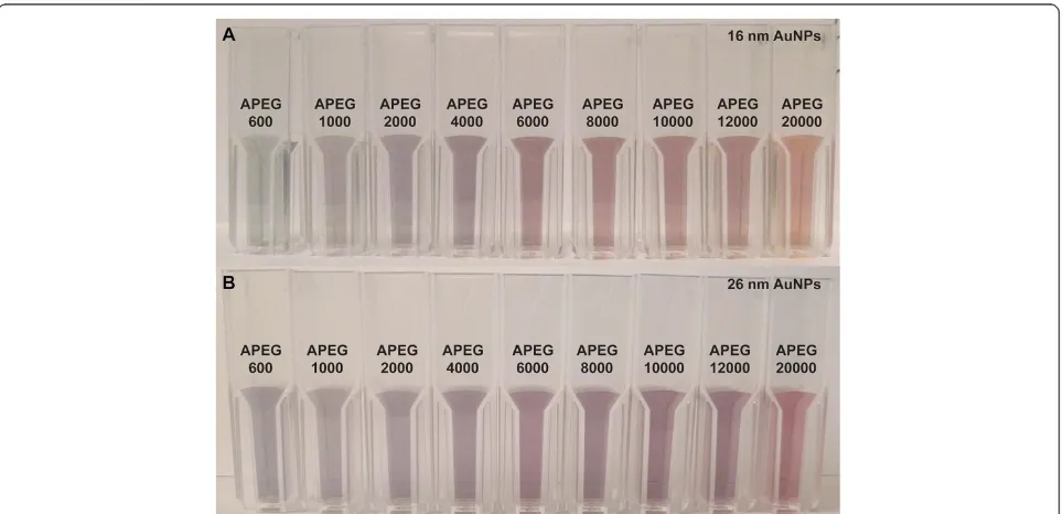 Figure 2 Visual color change of AuNPs coated with adsorbed PEG of different MW. (A) 16-nm AuNPs and (B) 26-nm AuNPs.