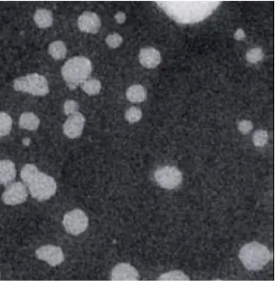 Table 1: Size distributions measured through nanoparticle tracking analyses (NTA) of Titanium 