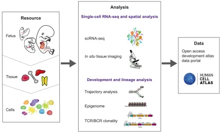 Fig. 1. The integrated experimental approaches to construct a human development atlas