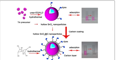 Figure 8 Schematic illustration of synthesis and dye removal processes.