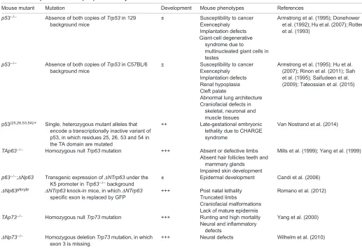 Table 1. Developmental roles of p53 protein family members