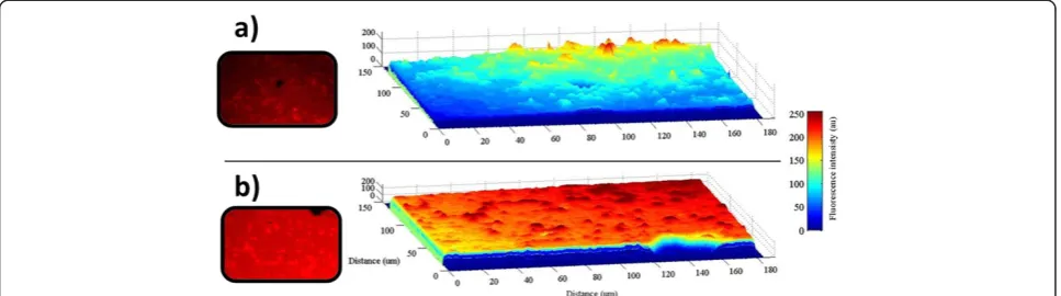 Figure 11 Fluorescence emission of PSiMc sensor and its tridimensional profile before and after metal detection