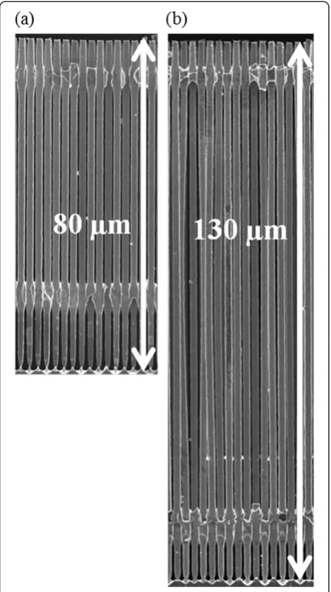 Figure 4 Si microwire anodes produced in different areas.Anodes with diameters of 2.4 and 1 cm are shown.