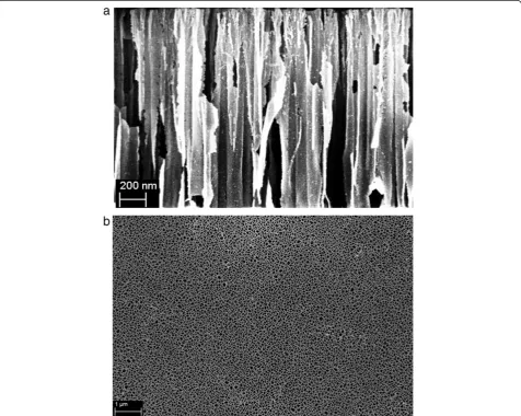 Figure 2 SEM observation of porous silicon structure fabricated, (a) cross section, (b) sample surface.