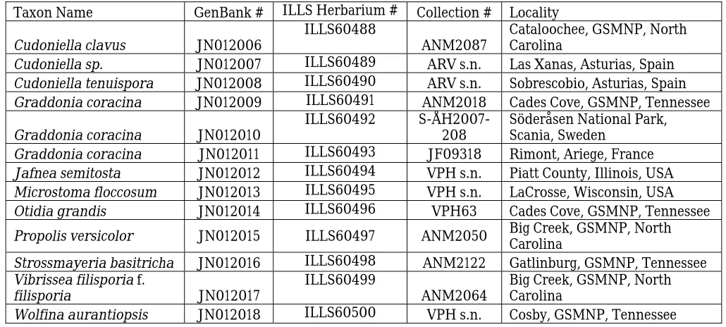 Table I.  List of taxa, GenBank and herbarium accession numbers, collection numbers, and locality for specimens newly sequenced in this study