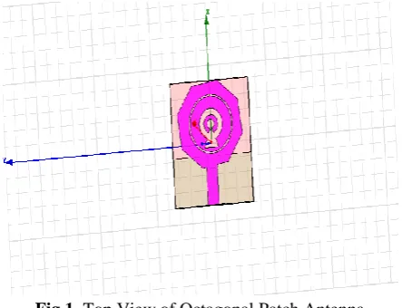 Fig 1. Top View of Octagonal Patch Antenna 
