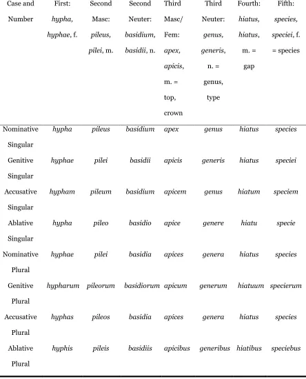 Table 3.  Nouns by Declension