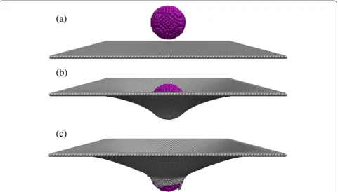 Figure 1 Atomic configuration of the system model during the nanoindentation experiment