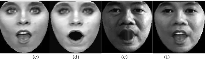 Fig. 14. Demonstration of our method to the robustness of illumination variation. (a) illustrates neutral expression 