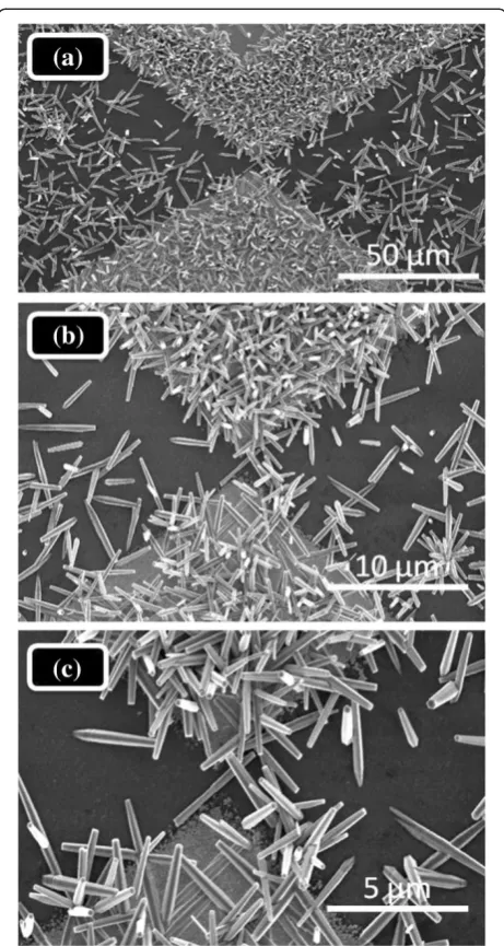Figure 2 SEM images of area-selective deposited ZnO nanorodson microgap electrodes. The images are at different magnificationpowers: (a) 50 μm, (b) 10 μm, and (c) 5 μm.
