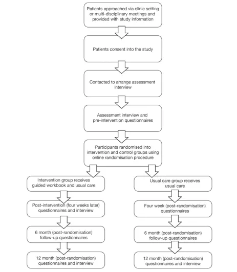 Figure 1. Study flowchart showing allocation to groups.