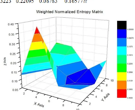 Figure 6.  Weighted Normalized Entropy Value Matrix   