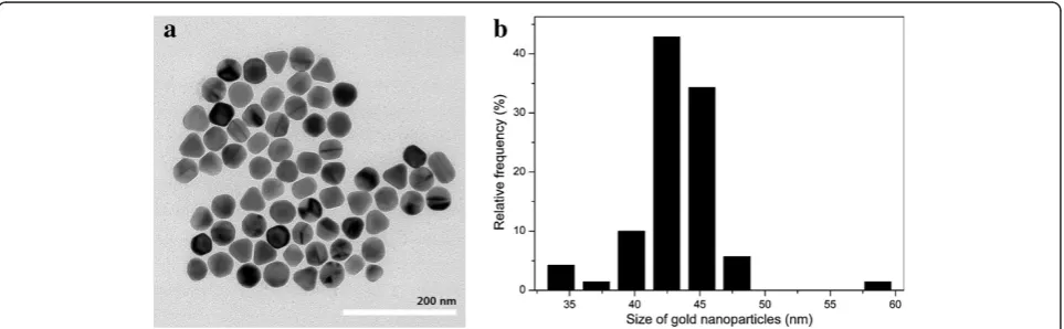 Figure 1 TEM image of GNPs (a) and particle number distribution for related TEM image (b).