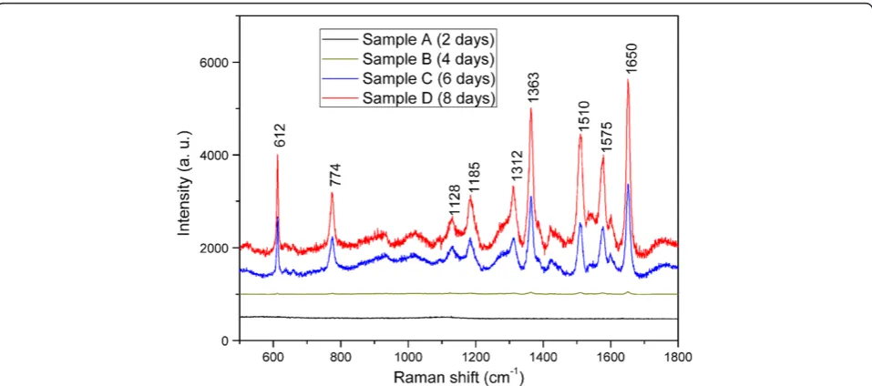 Table 1 Enhancement factor of R6G in each structureunder 514 nm excitation