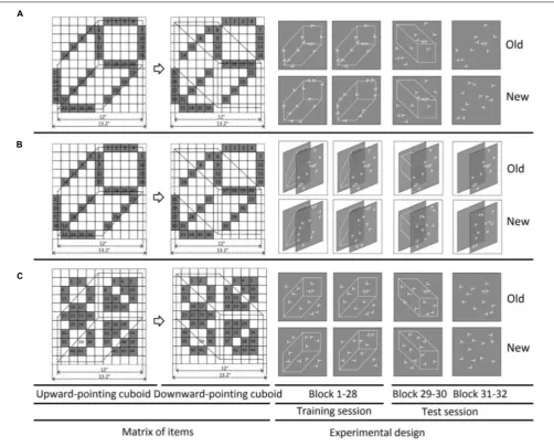 FIGURE 1 | Stimulus conﬁgurations and schematic paradigm used in Experiments 1, 2, and 3