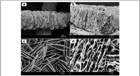 Figure 2 Typical FESEM images of ZnO nanosheets on weaved titanium wire substrate. (a) The low-magnification and (c) high-magnificationFESEM images of ZnO nanosheets