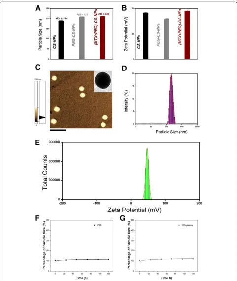 Figure 4 Physicochemical characterization of the (MTX + PEG)-CS-NPs. (A)Scale bars = 500 nm