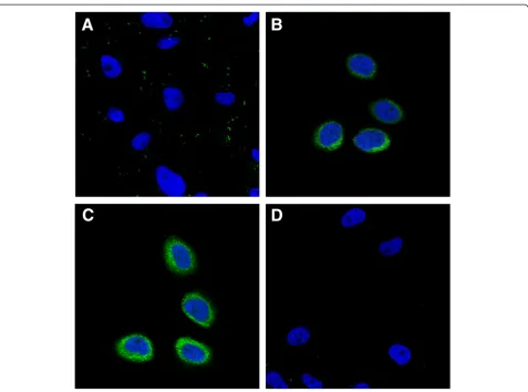 Figure 7 Cellular uptake of FITC-PEG-CS-NPs, FITC-(FA + PEG)-CS-NPs, and FITC-(MTX + PEG)-CS-NPs (equivalent FITCconcentration) on HeLa cells by flow cytometry (mean ± SD,n = 3)