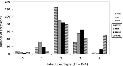 Figure 1. Frequency distribution of infection types (ITs) of 183 durum germplasms evaluated at the seedling stage with four stem rust races.
