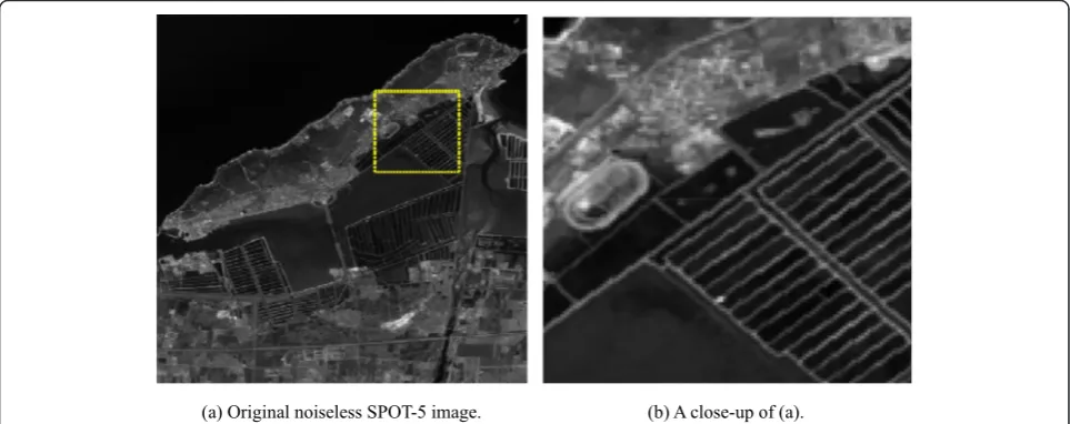 Fig. 7 Illustrative results of (1-level) decomposition by the M-band multiwavelet packet transform of a remote sensing image, with M = 2 (a),3 (b), and 4 (c)