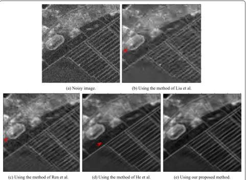 Fig. 11 Close-ups of the same part of the noisy image (a) and relevant denoising results (b–e), when mixing the original image in Fig