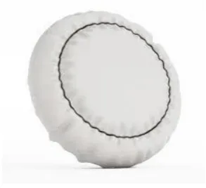 Fig 5: Air bag 