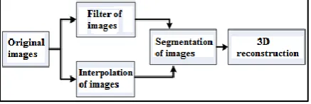 Figure 4: The fundamental flow diagram of 3D 