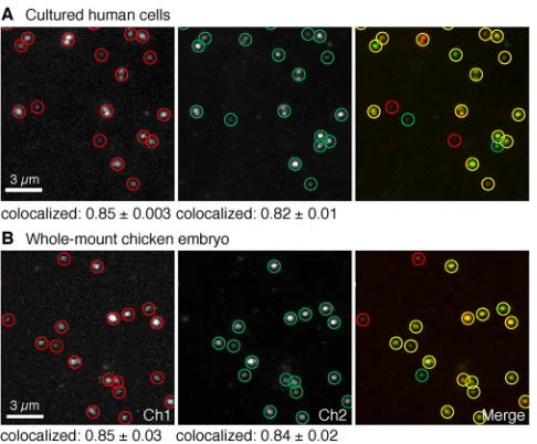 Fig. 7. dHCR imaging: digital mRNA absolute quantitation in culturedhuman cells and whole-mount chicken embryos