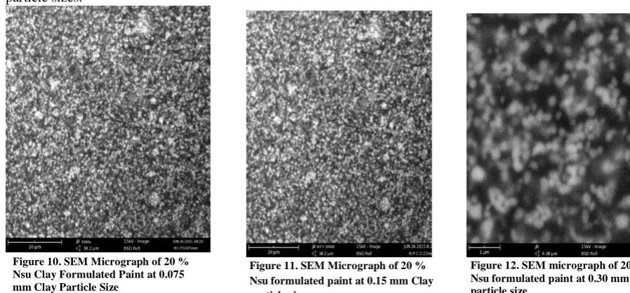Figure 12. SEM micrograph of 20 % Nsu formulated paint at 0.30 mm clay particle size 