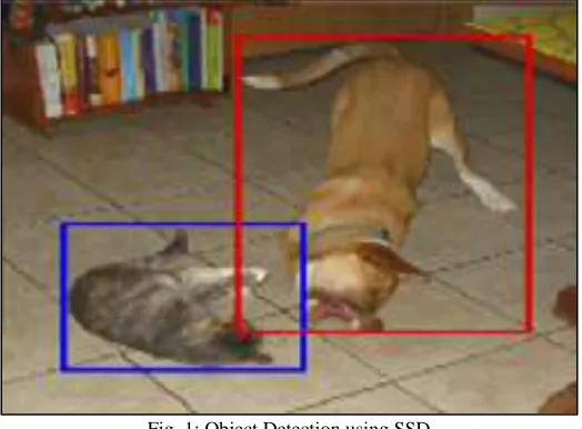 Fig. 1: Object Detection using SSD 