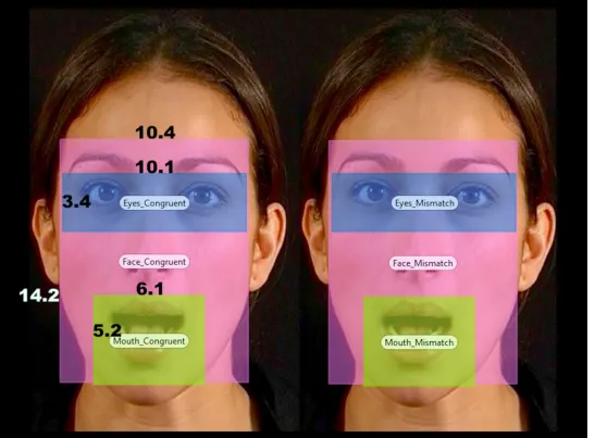 Fig 1. An example of the visual stimuli used in the experiment, including the positioning and sizes in visual angle of the Areas-Of-Interest (eyes,face, and mouth).